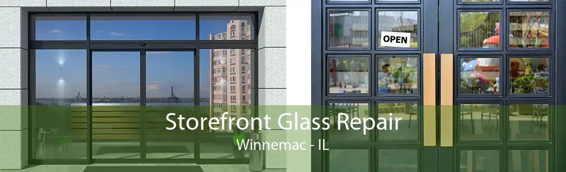 Storefront Glass Repair Winnemac - IL