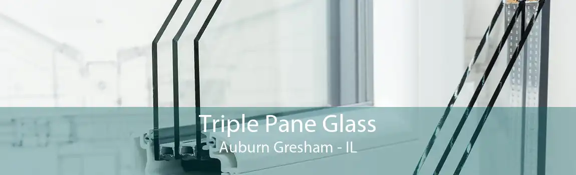 Triple Pane Glass Auburn Gresham - IL