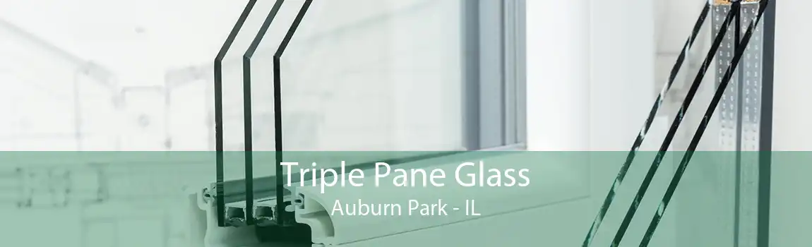 Triple Pane Glass Auburn Park - IL