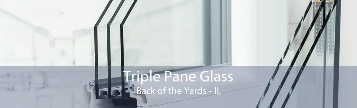 Triple Pane Glass Back of the Yards - IL