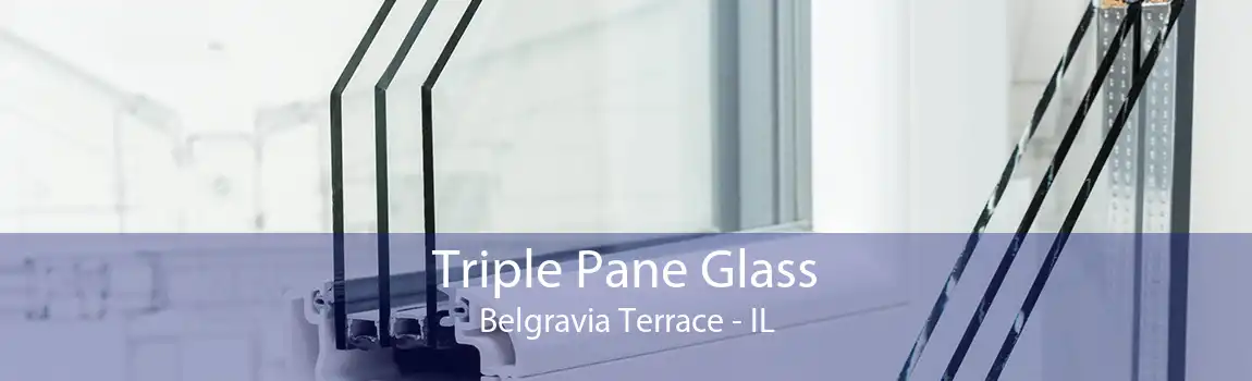 Triple Pane Glass Belgravia Terrace - IL