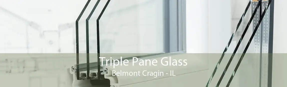 Triple Pane Glass Belmont Cragin - IL