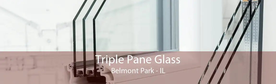 Triple Pane Glass Belmont Park - IL