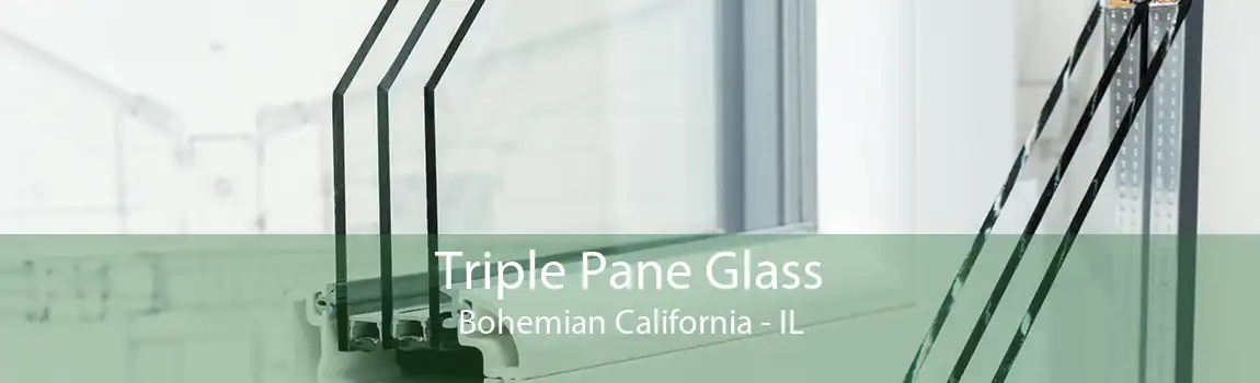 Triple Pane Glass Bohemian California - IL