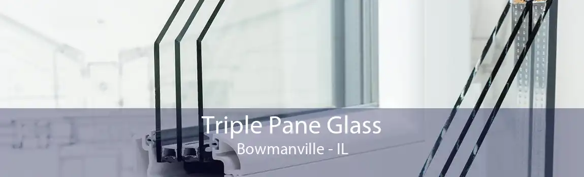 Triple Pane Glass Bowmanville - IL