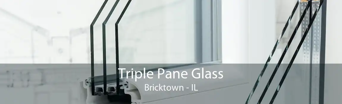 Triple Pane Glass Bricktown - IL