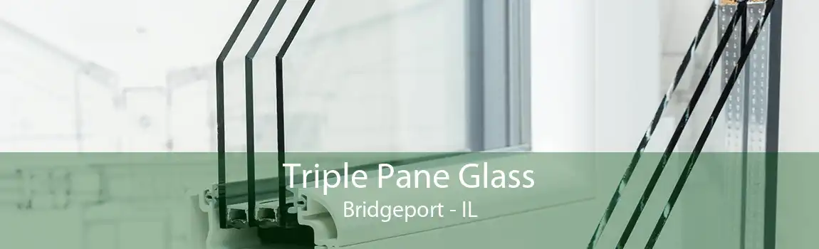 Triple Pane Glass Bridgeport - IL