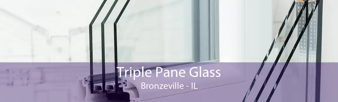 Triple Pane Glass Bronzeville - IL