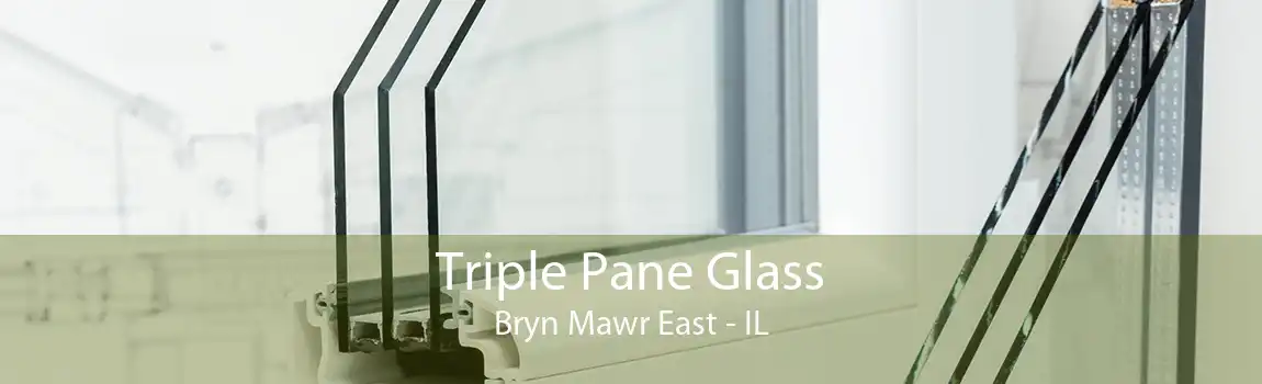 Triple Pane Glass Bryn Mawr East - IL