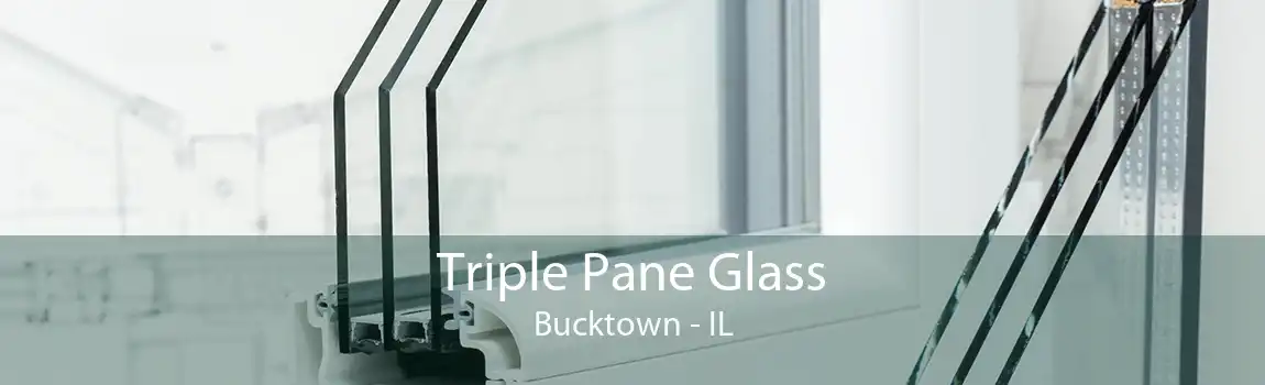 Triple Pane Glass Bucktown - IL