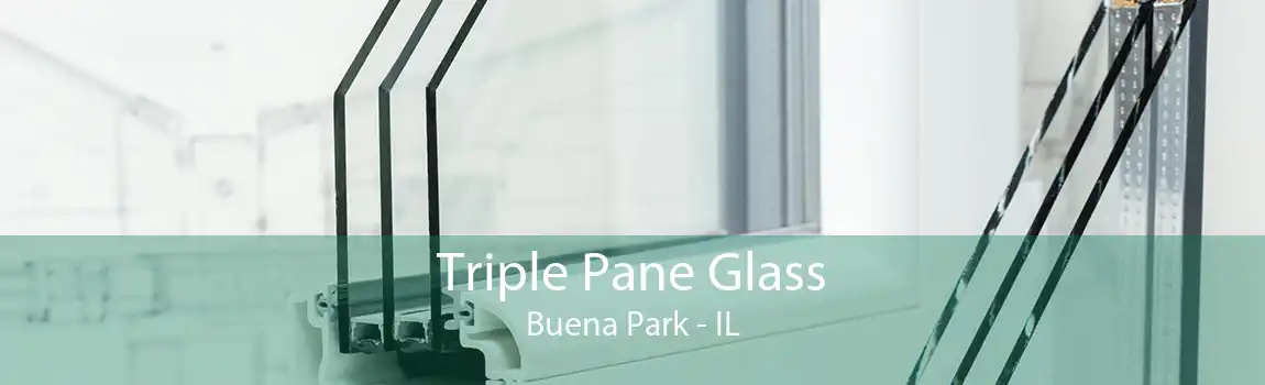 Triple Pane Glass Buena Park - IL