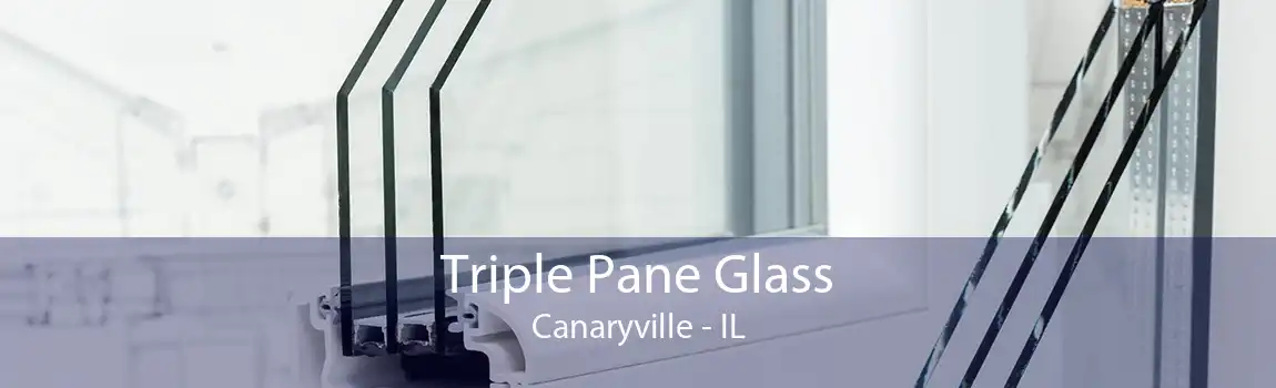 Triple Pane Glass Canaryville - IL