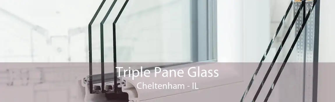 Triple Pane Glass Cheltenham - IL