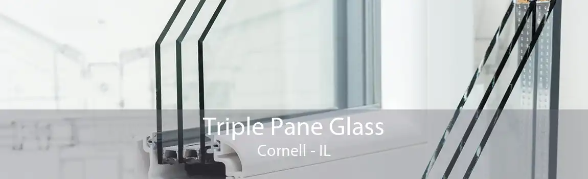 Triple Pane Glass Cornell - IL