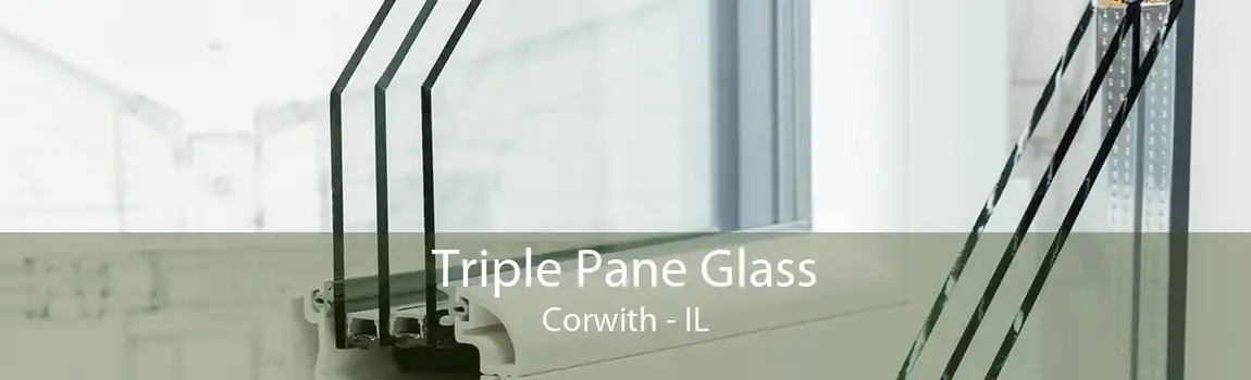 Triple Pane Glass Corwith - IL