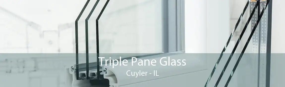 Triple Pane Glass Cuyler - IL