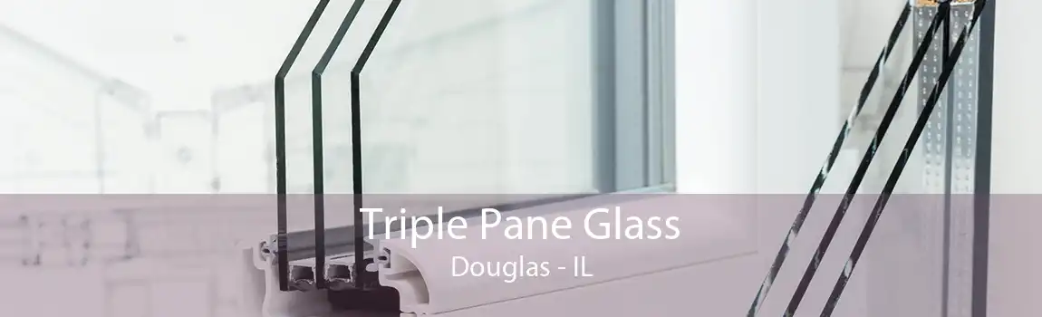 Triple Pane Glass Douglas - IL