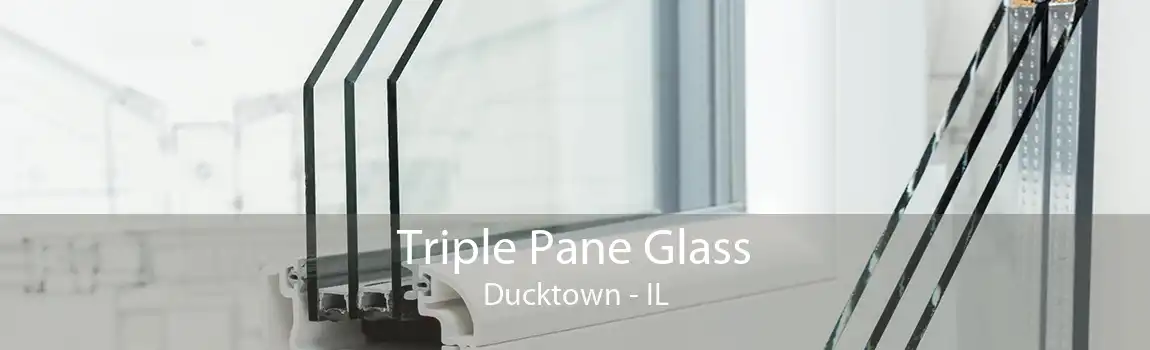 Triple Pane Glass Ducktown - IL