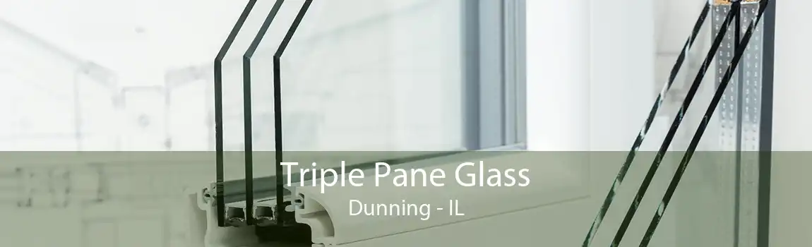 Triple Pane Glass Dunning - IL