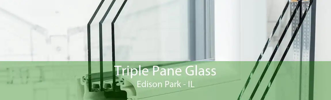 Triple Pane Glass Edison Park - IL