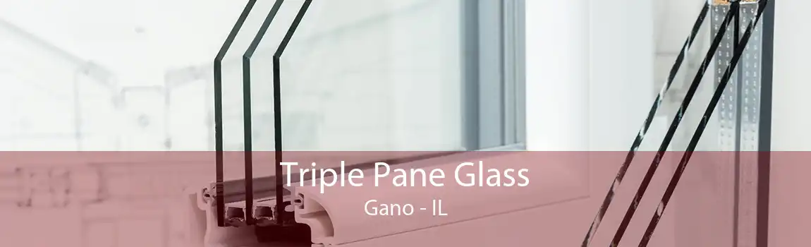 Triple Pane Glass Gano - IL