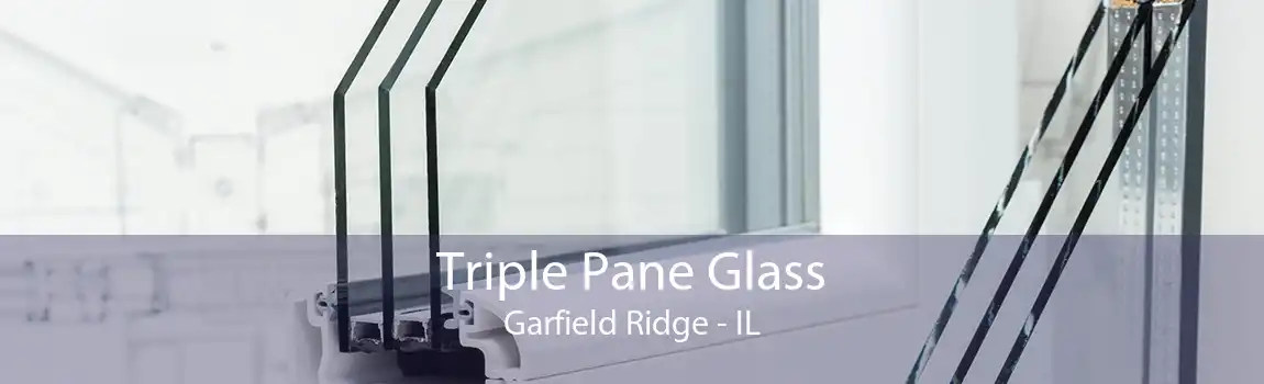 Triple Pane Glass Garfield Ridge - IL