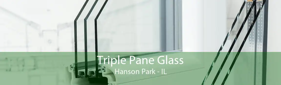 Triple Pane Glass Hanson Park - IL