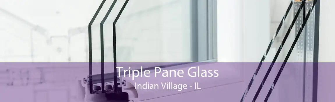 Triple Pane Glass Indian Village - IL