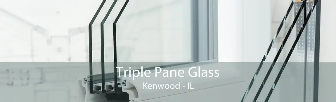 Triple Pane Glass Kenwood - IL