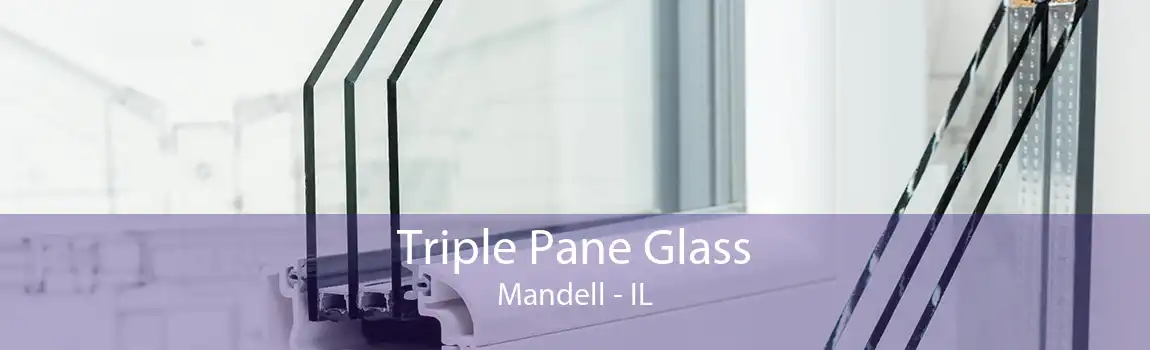 Triple Pane Glass Mandell - IL