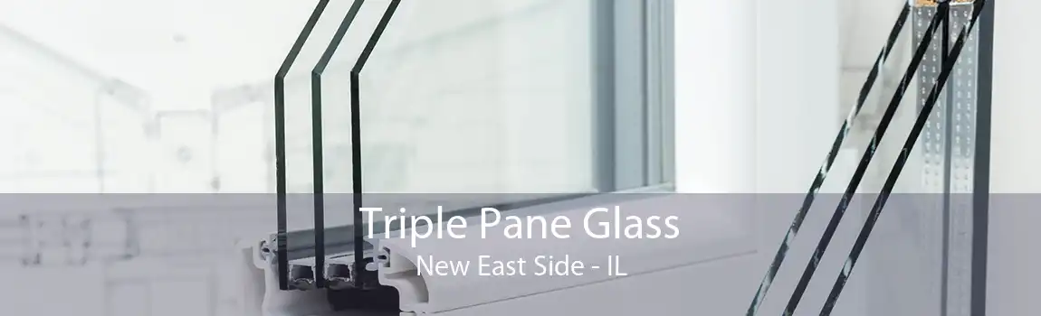 Triple Pane Glass New East Side - IL