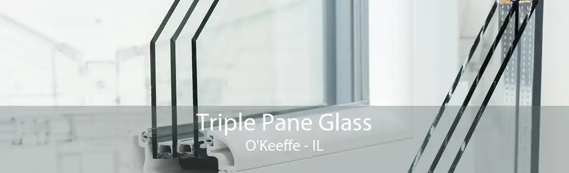 Triple Pane Glass O'Keeffe - IL