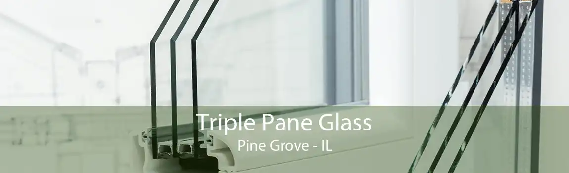 Triple Pane Glass Pine Grove - IL