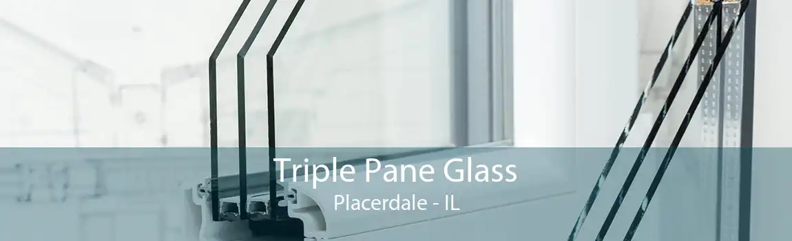 Triple Pane Glass Placerdale - IL