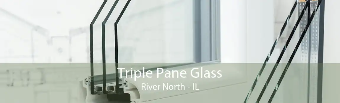 Triple Pane Glass River North - IL