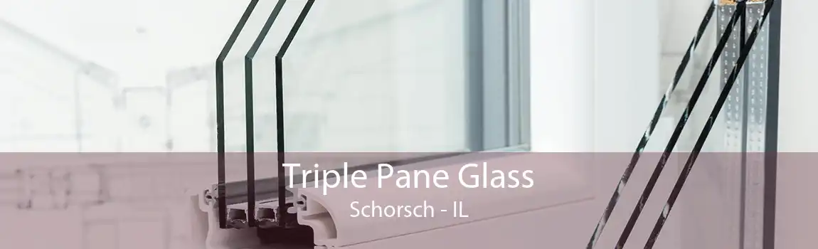 Triple Pane Glass Schorsch - IL