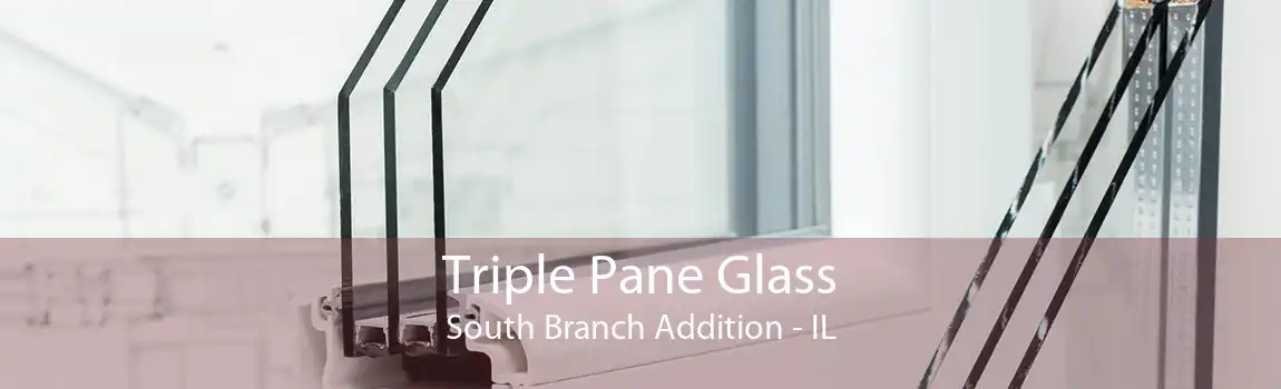 Triple Pane Glass South Branch Addition - IL