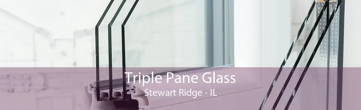 Triple Pane Glass Stewart Ridge - IL