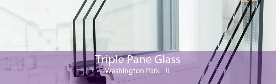 Triple Pane Glass Washington Park - IL