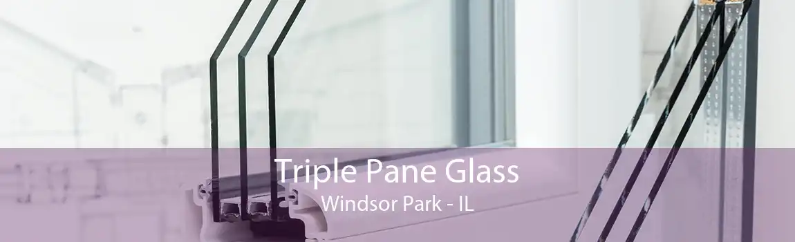 Triple Pane Glass Windsor Park - IL