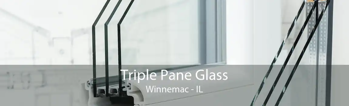 Triple Pane Glass Winnemac - IL