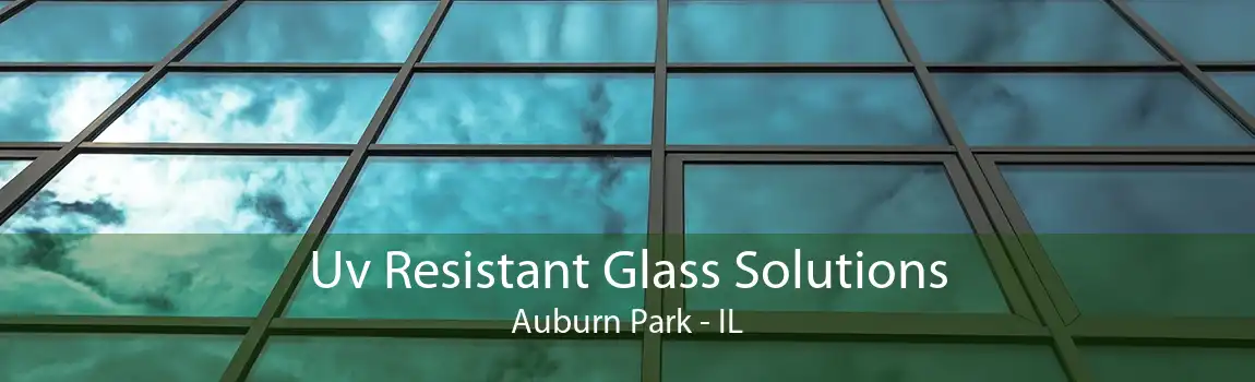 Uv Resistant Glass Solutions Auburn Park - IL