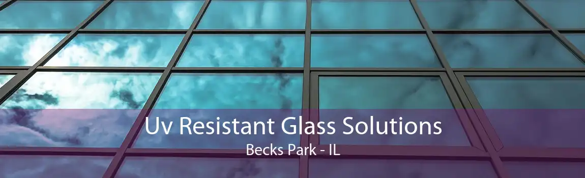 Uv Resistant Glass Solutions Becks Park - IL