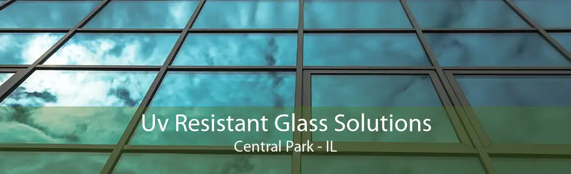 Uv Resistant Glass Solutions Central Park - IL