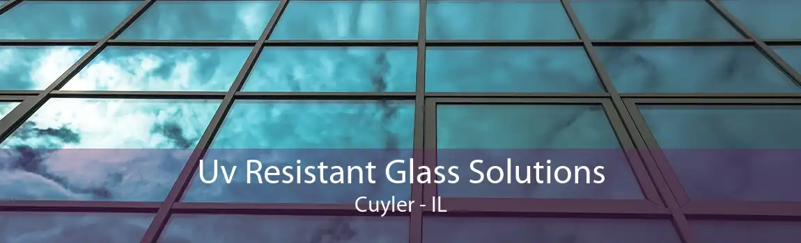 Uv Resistant Glass Solutions Cuyler - IL