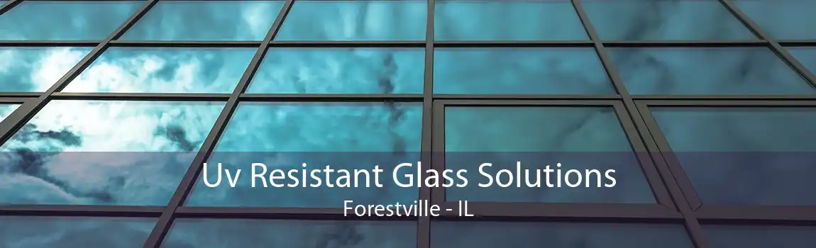 Uv Resistant Glass Solutions Forestville - IL