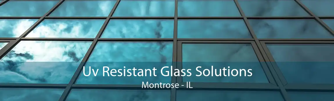 Uv Resistant Glass Solutions Montrose - IL