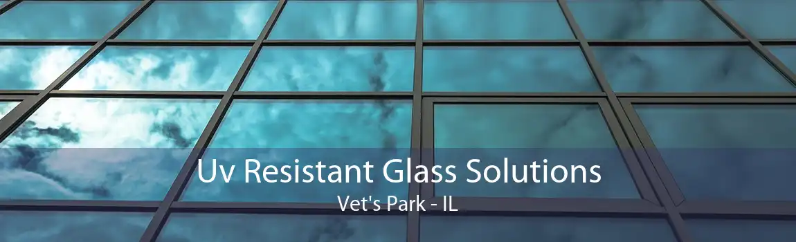 Uv Resistant Glass Solutions Vet's Park - IL