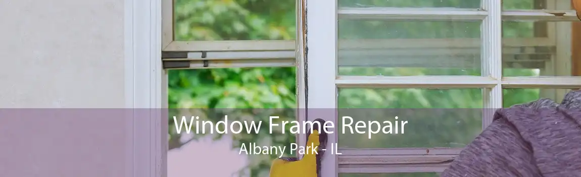 Window Frame Repair Albany Park - IL