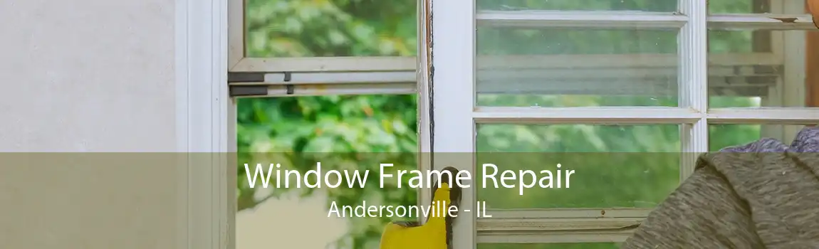 Window Frame Repair Andersonville - IL